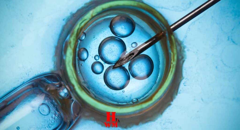 आईवीएफ ( IVF)   से जुड़े जोखिम और लाभ