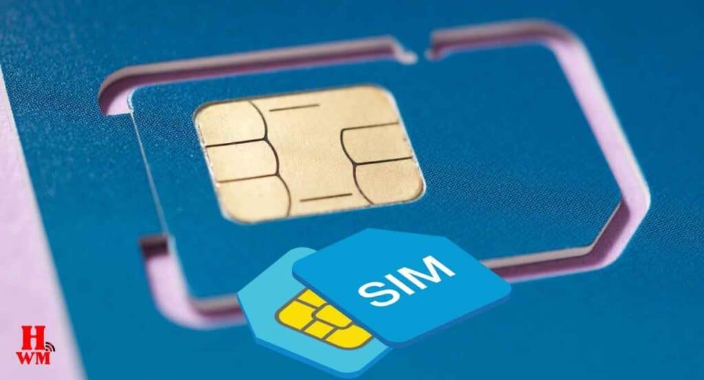 सिम स्वैपिंग धोखाधड़ी (SIM  Swapping Fraud)