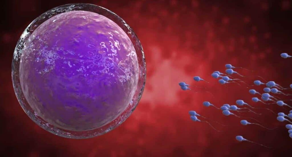 आईवीएफ क्या है  आईवीएफ ( IVF)   से जुड़े जोखिम और लाभ