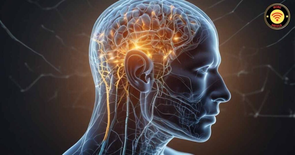 Vipassana Meditation कैसे काम करता है