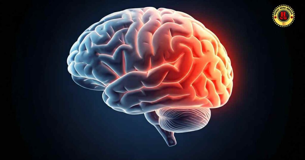Effect of Vipassana Meditation on Brain