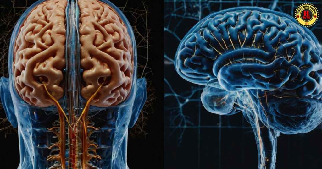 Vipassana Meditation and Effect in Brain