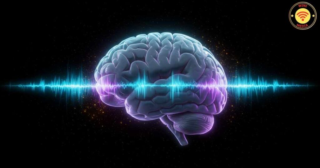 ध्यान और मस्तिष्क तरंगों (Brainwave Patterns) का कनेक्शन