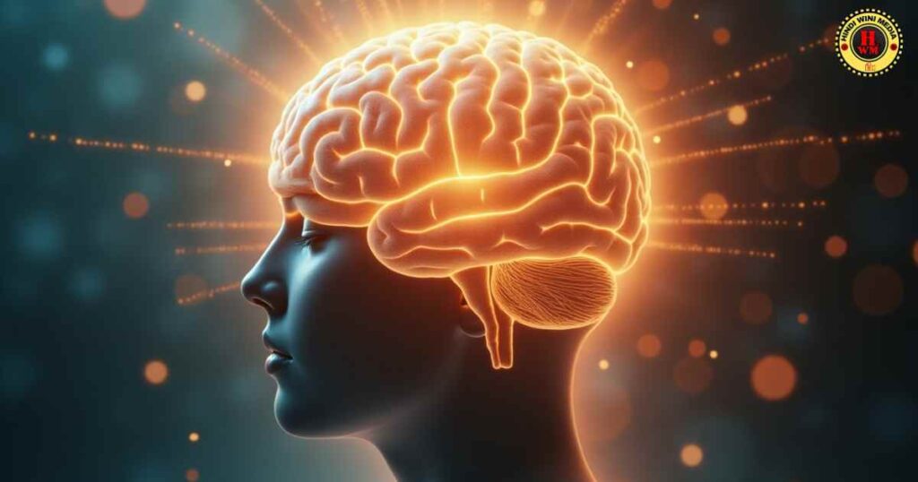 Vipassana से हिप्पोकैम्पस (Hippocampus) मज़बूत होता है,