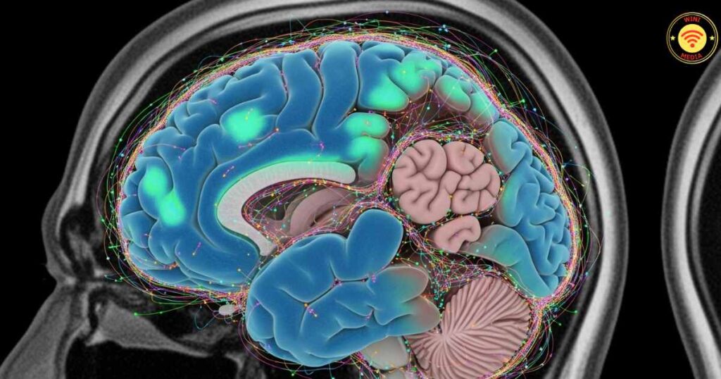 Vipassana Meditation मस्तिष्क (Brain) की लचीलापन (Plasticity) बढ़ाता है 