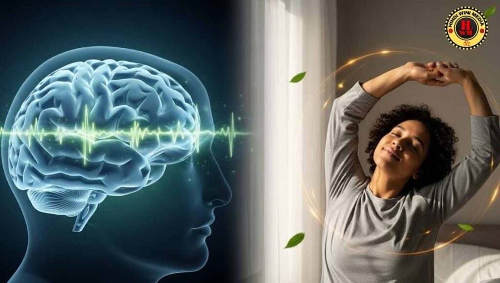 Brain restoration and body recovery during deep sleep