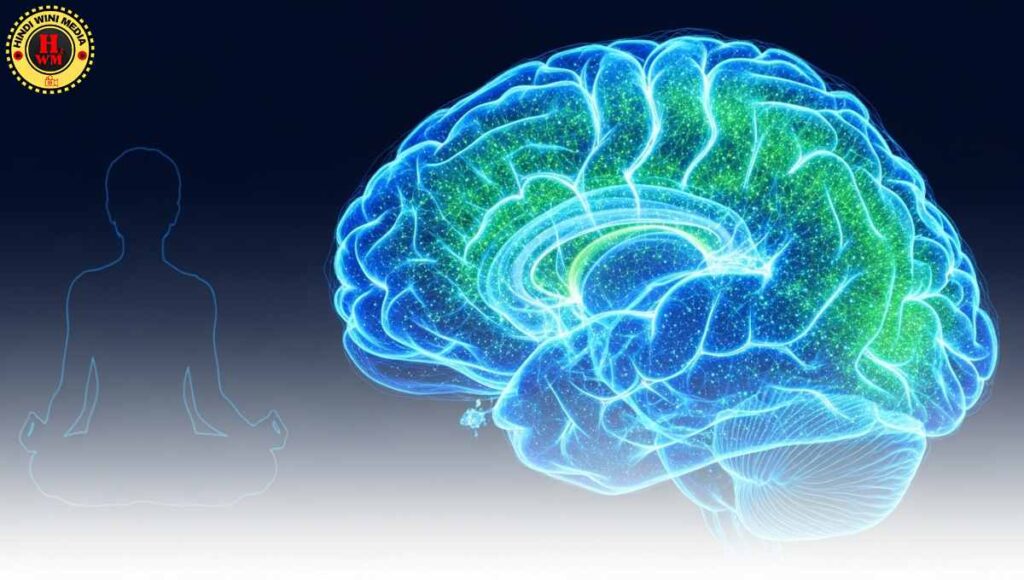 Effect of Vipassana Meditation on Brain